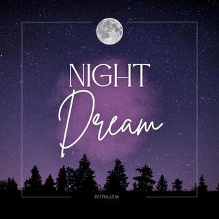 Night Dream