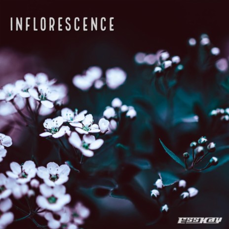 Inflorescence | Boomplay Music