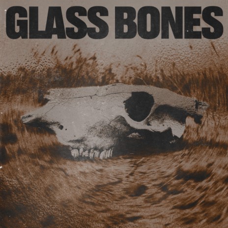 Glass Bones | Boomplay Music
