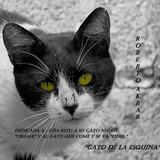 Gato de la esquina