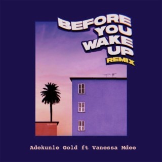 Before You Wake Up (Remix) feat. Vanessa Mdee