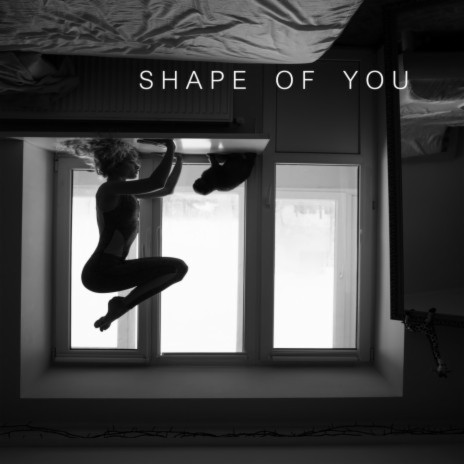 Shape Of You - Piano Cover ft. Letícia Paula & Piano Covers Club Delight | Boomplay Music