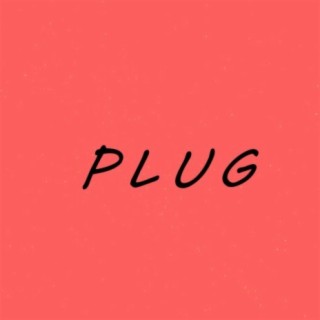 Plug