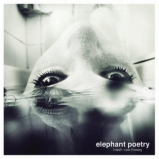 Elephant Poetry