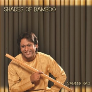 Shades of Bamboo