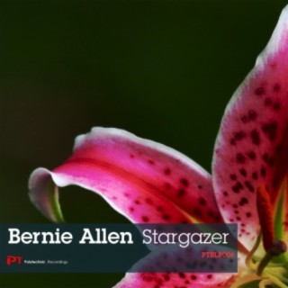 Stargazer