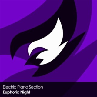 Euphoric Night