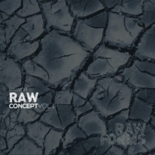 Raw Concept, Vol. 1