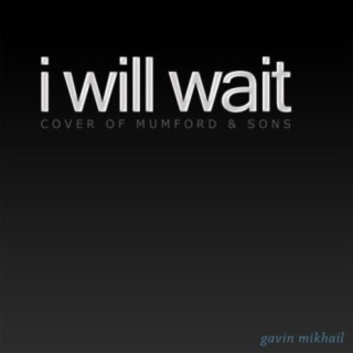 I Will Wait For You (Mumford & Sons Covers)
