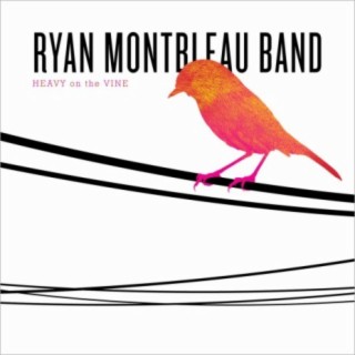 Ryan Montbleau Band