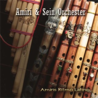 Amiri & Sein Orchester