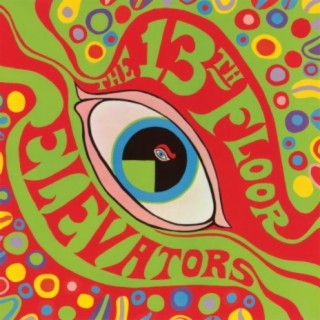 13th Floor Elevators