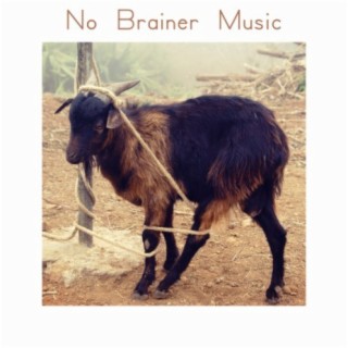No Brainer Music