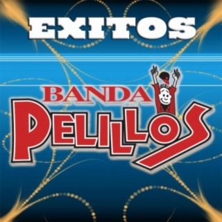 Banda Pelillos