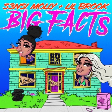 Big Facts ft. Lil Brook | Boomplay Music