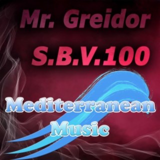 S.B.V.100 (Electroliftclub Mix)