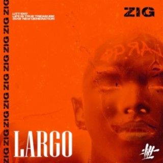 ZiG