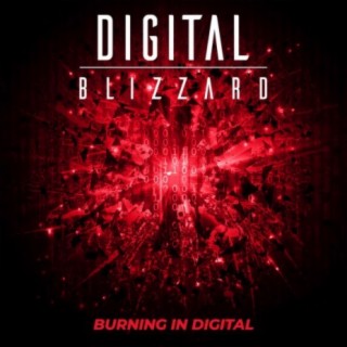 Burning In Digital