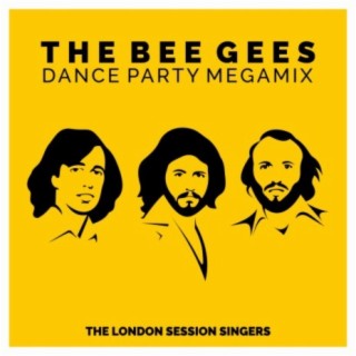 The Bee Gees - Dance Party Megamix