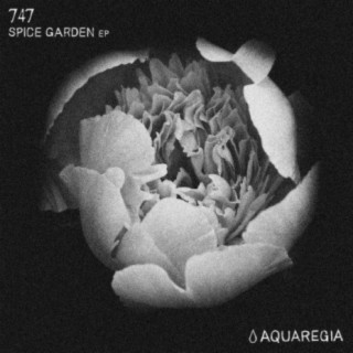 Spice Garden EP