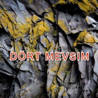 Dört Mevsim