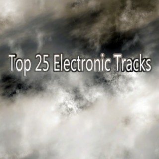 Top 25 Electronic Tracks