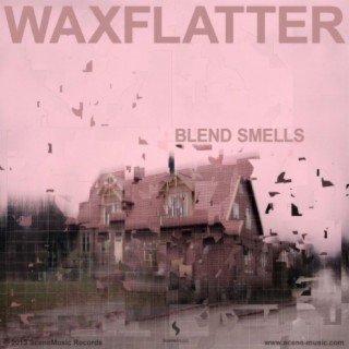 Waxflatter