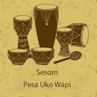 Pesa Uko Wapi