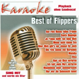 Best of Flippers - Karaoke