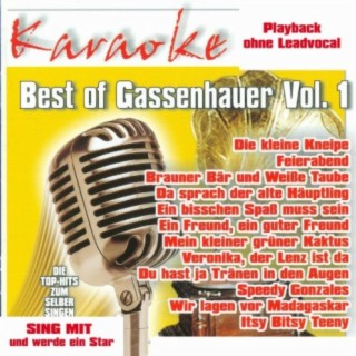 Best of Gassenhauer Vol.1 - Karaoke