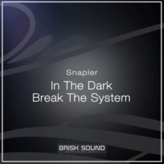 In The Dark / Break The System