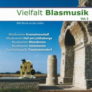 Vielfalt Blasmusik Vol.3 - BAG Bruck an der Leitha