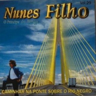 Caminhar Na Ponte Sobre O Rio Negro - Vol. 29