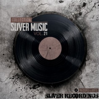 SLiVER Music Collection, Vol.21