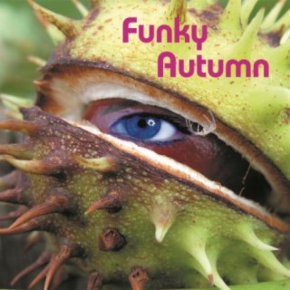 Funky Autumn