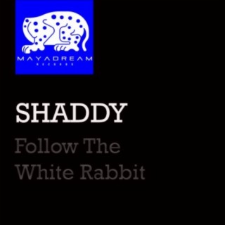 Follow The White Rabbit