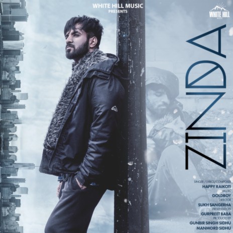 Zinda | Boomplay Music