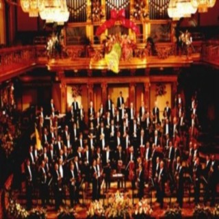 Wiener Symphoniker