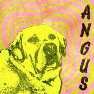 ANGUS