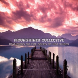 Moonshiner Collective