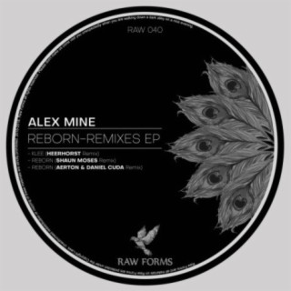 Reborn EP - Remixes