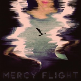 Mercy Flight