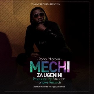 Mechi Za Ugenini lyrics | Boomplay Music