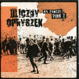 Na zawsze punk 2