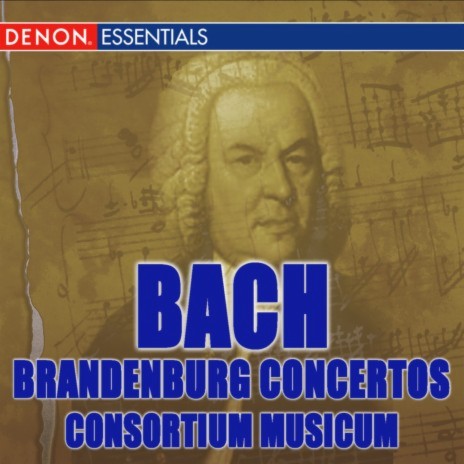 Concerto No. 1 in F Major, BWV1046, II. Adagio | Boomplay Music