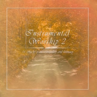 Instrumental Worship, Vol. 2