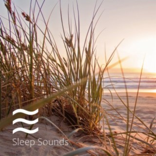 Sleeping Smooth Noises and Calming Relax Therapy Soothing Noise Summer Collection