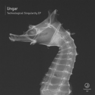 Ungar