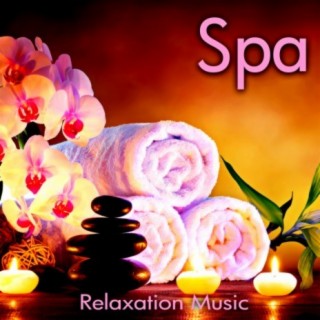 Spa Relaxation Music, Massage Music, Stress Relief Music Sleep, Soothing Music, Calming Music, Meditation Music, Study Music, Instrumental Music