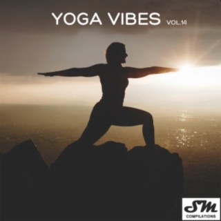Yoga Vibes, Vol. 14